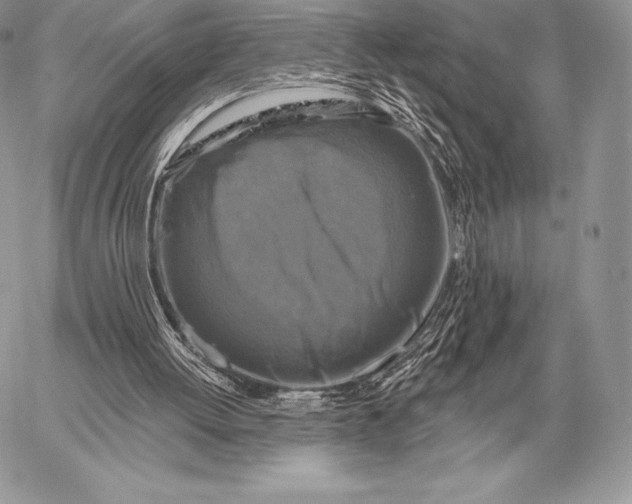 X0000059840052200511111755