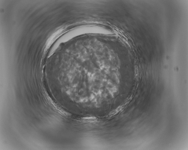 X0000059840053200511111755