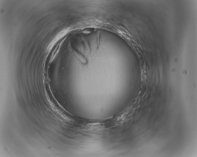 X0000059840054200511111755