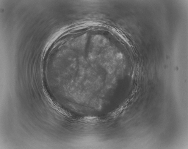 X0000059840055200511111755