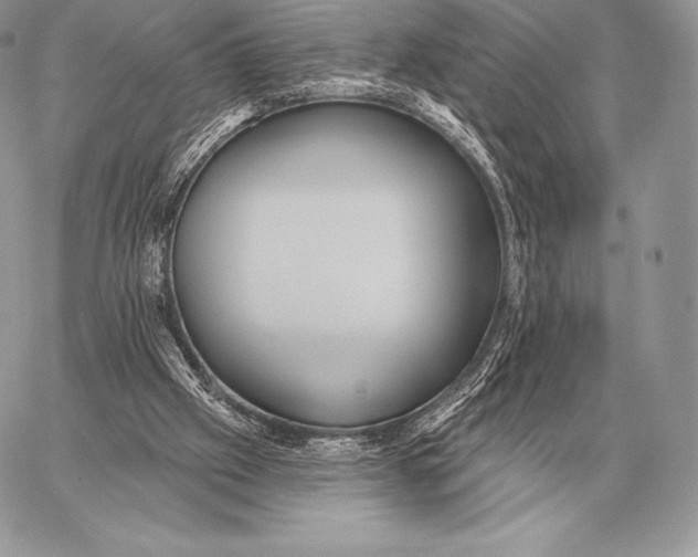 X0000059840057200511111755