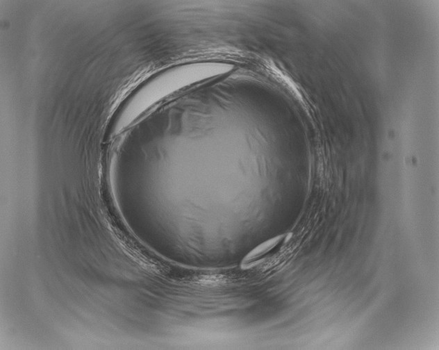 X0000059840059200511111755