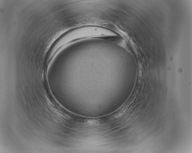 X0000059840060200511111755