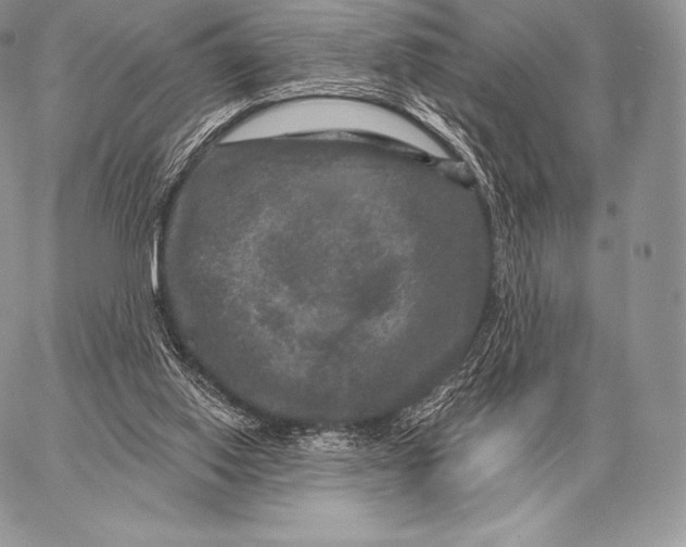 X0000059840062200511111755