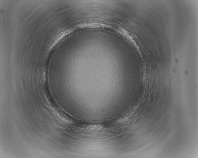 X0000059840063200511111755