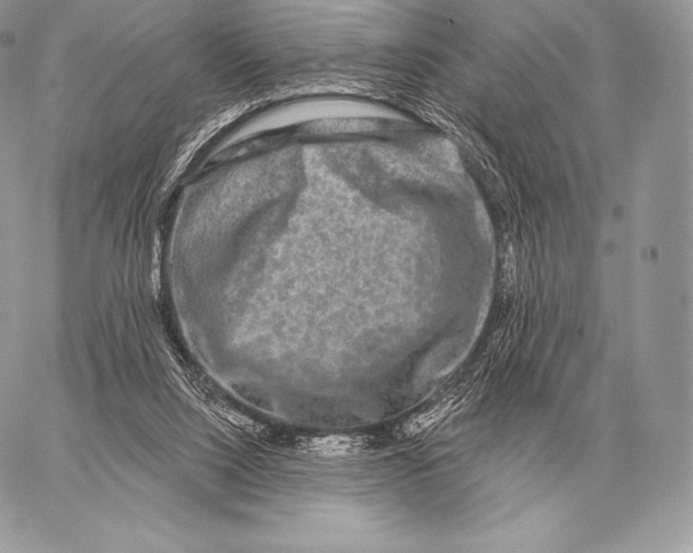 X0000059840064200511111755