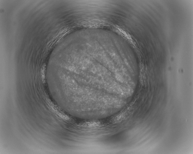 X0000059840065200511111755