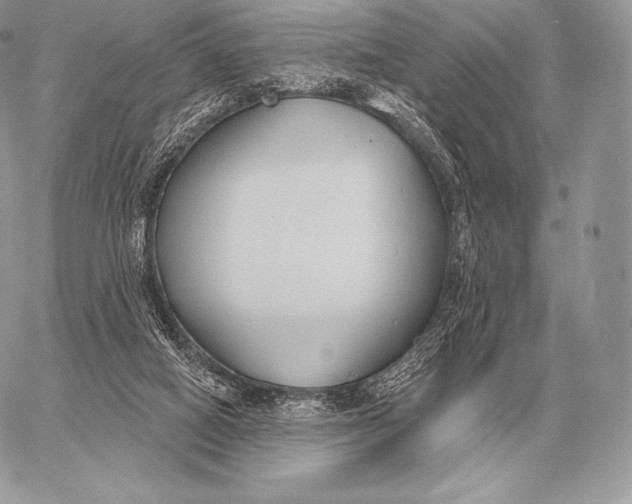 X0000059840066200511111755