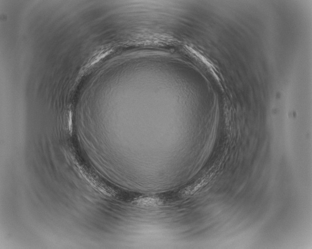 X0000059840067200511111755