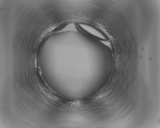 X0000059840068200511111755