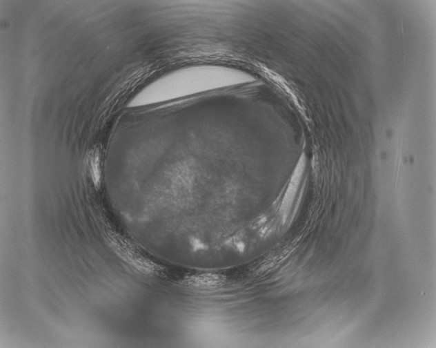 X0000059840069200511111755