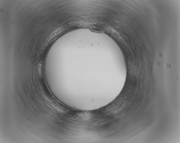 X0000059840071200511111755