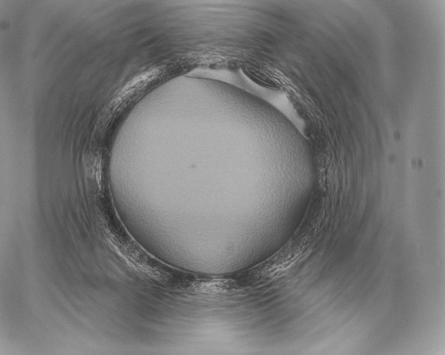 X0000059840072200511111755