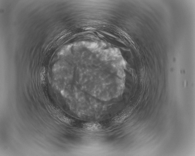 X0000059840073200511111755