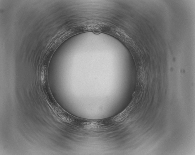 X0000059840074200511111755