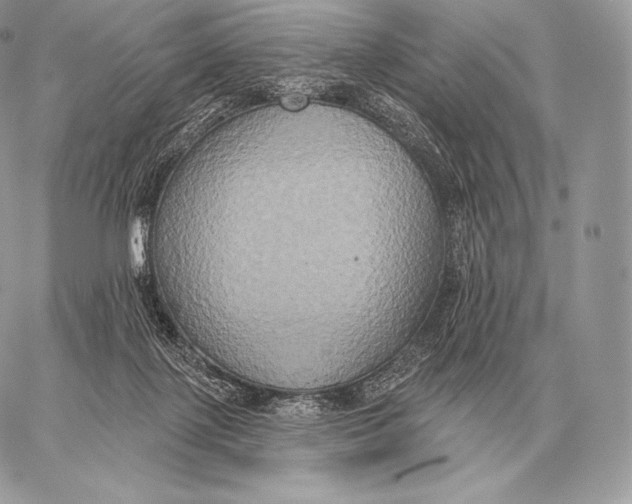 X0000059840075200511111755