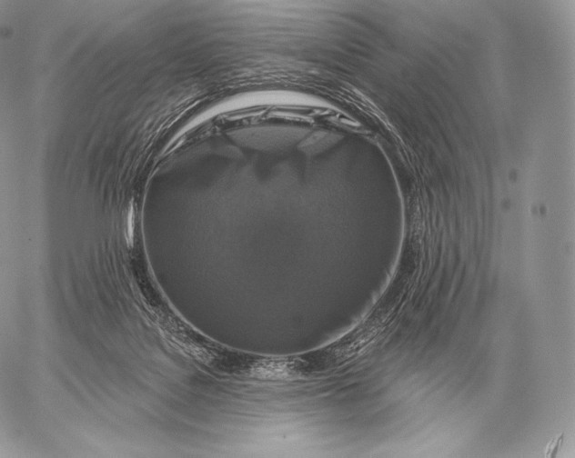 X0000059840076200511111755