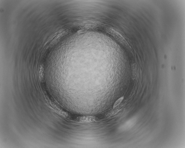 X0000059840077200511111755