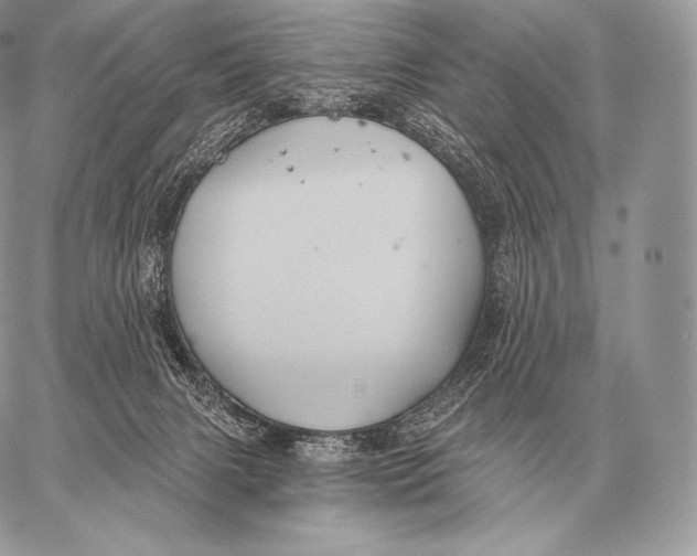 X0000059840079200511111755