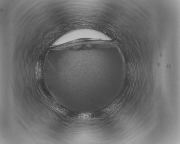 X0000059840080200511111755