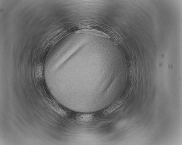 X0000059840081200511111755