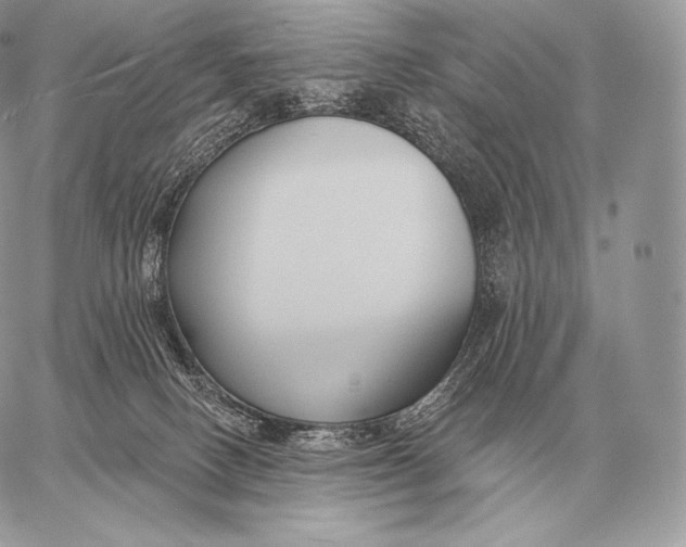 X0000059840082200511111755