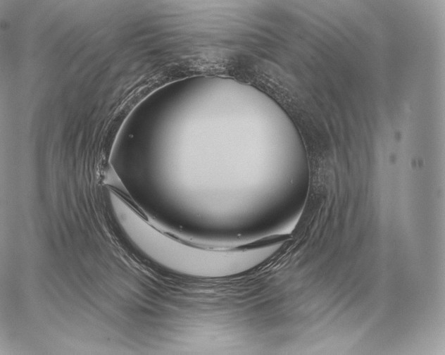 X0000059840084200511111755