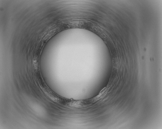 X0000059840086200511111756