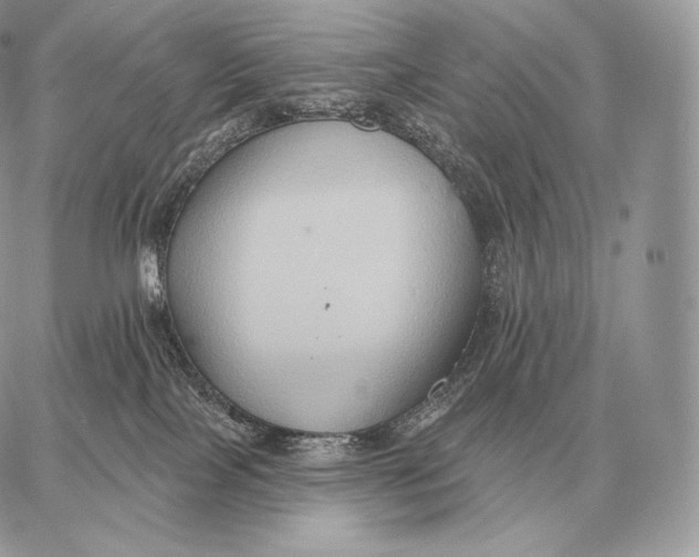 X0000059840089200511111756