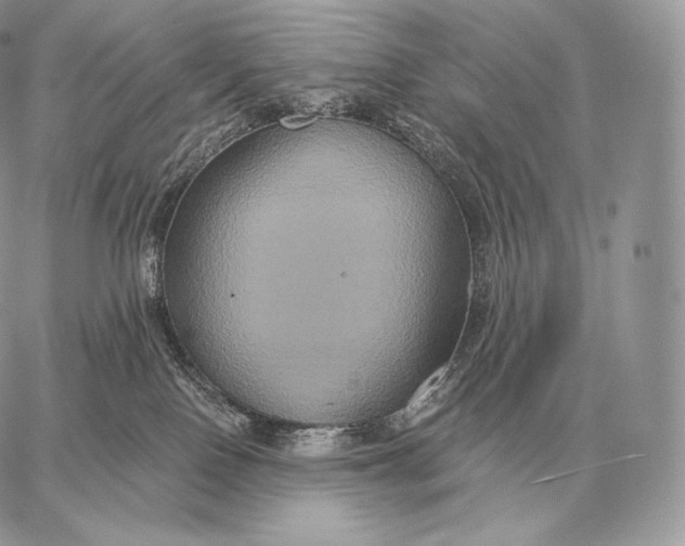 X0000059840090200511111756