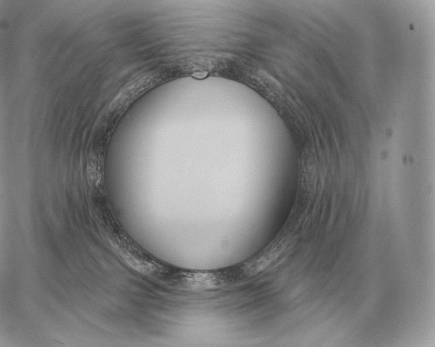 X0000059840091200511111756