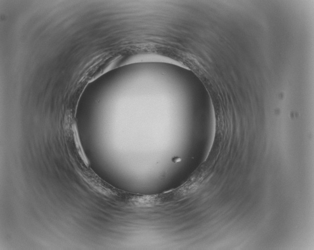 X0000059840092200511111756