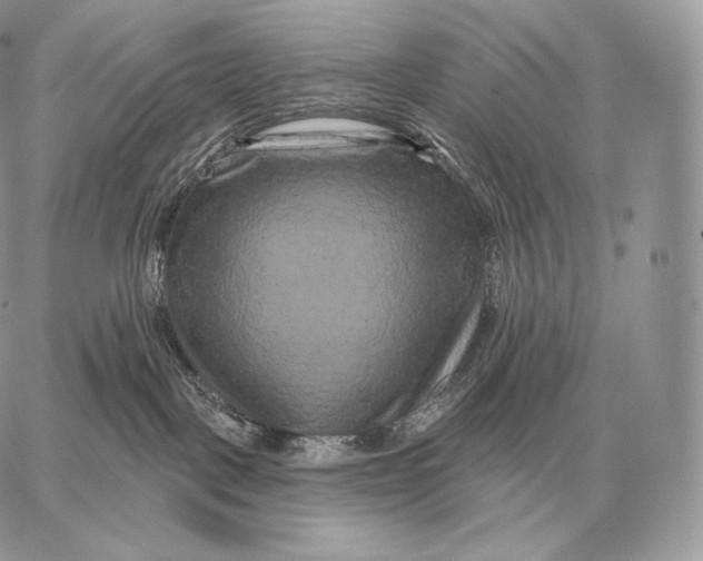 X0000059840093200511111756