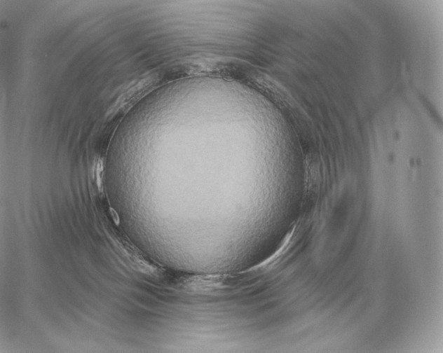 X0000059840094200511111756