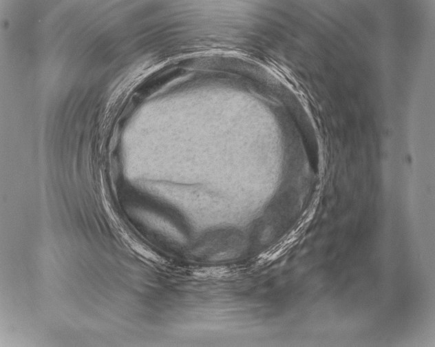 X0000059840097200511111755