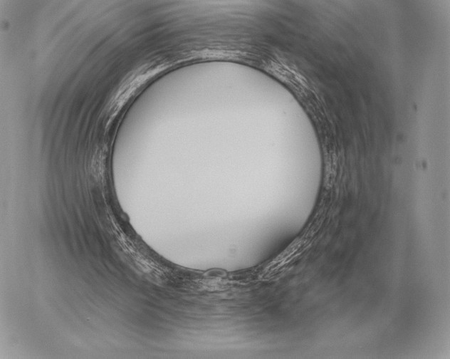 X0000059840098200511111755