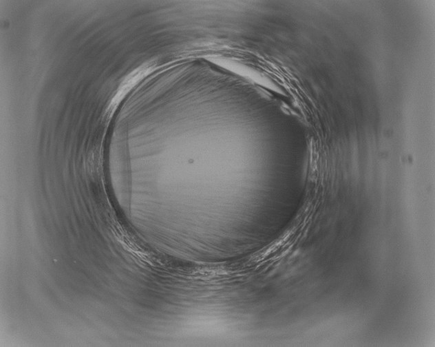 X0000059840099200511111755