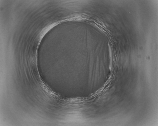 X0000059840100200511111755