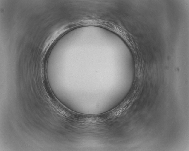 X0000059840103200511111755