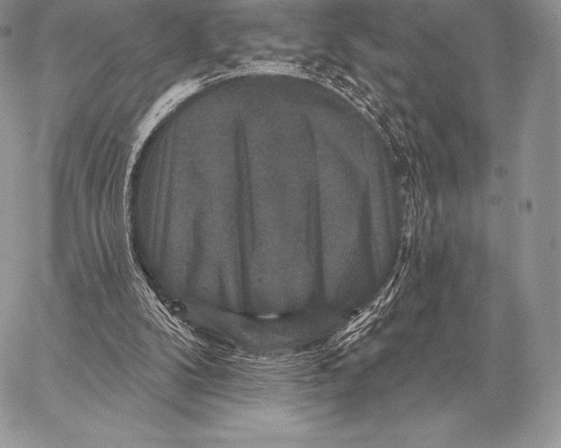 X0000059840104200511111755