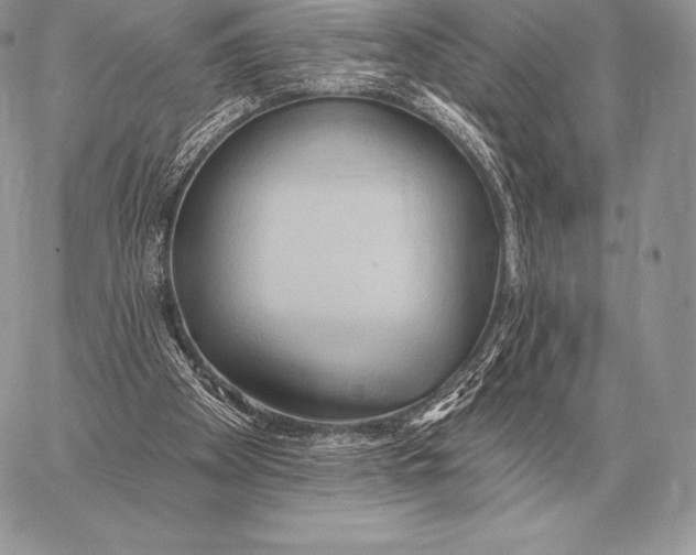 X0000059840105200511111755