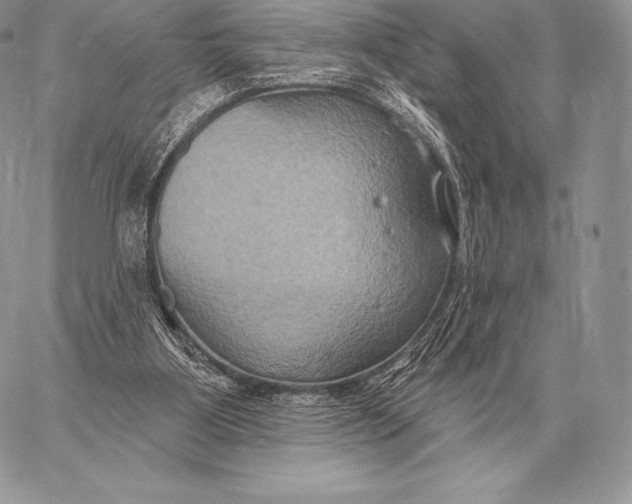 X0000059840107200511111755