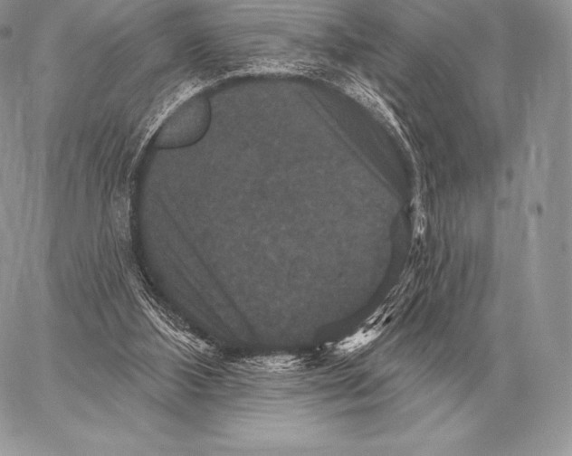 X0000059840108200511111755