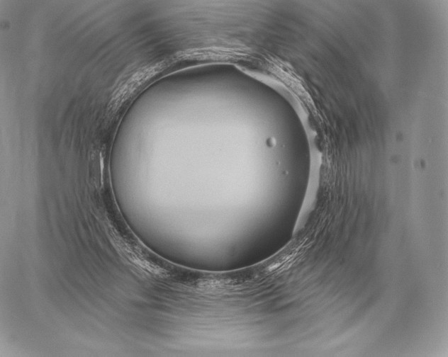 X0000059840109200511111755