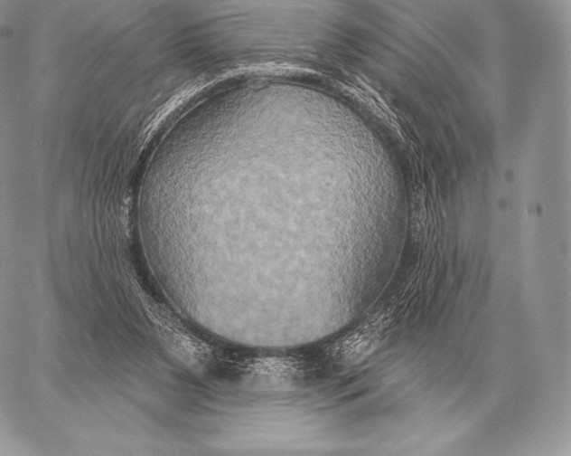 X0000059840111200511111755