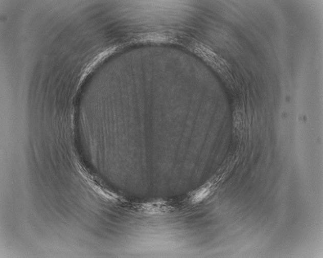 X0000059840112200511111755