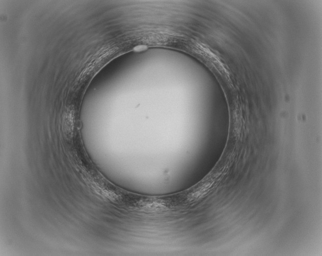 X0000059840113200511111755