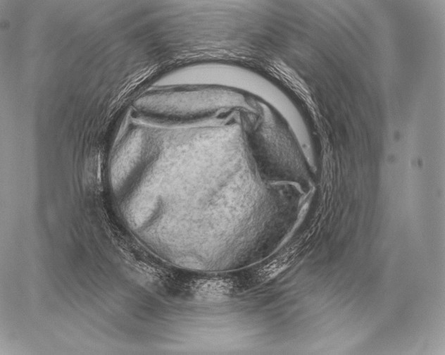 X0000059840115200511111755