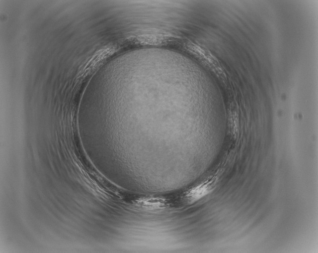 X0000059840117200511111755