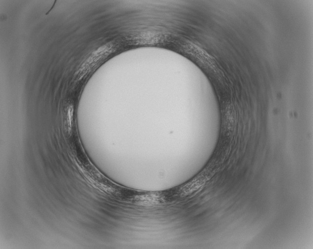 X0000059840118200511111755